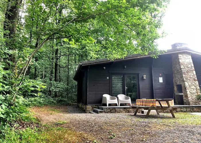 Forest Lodge