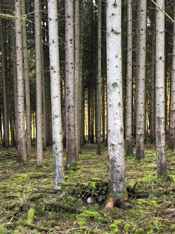 Chalet Forest